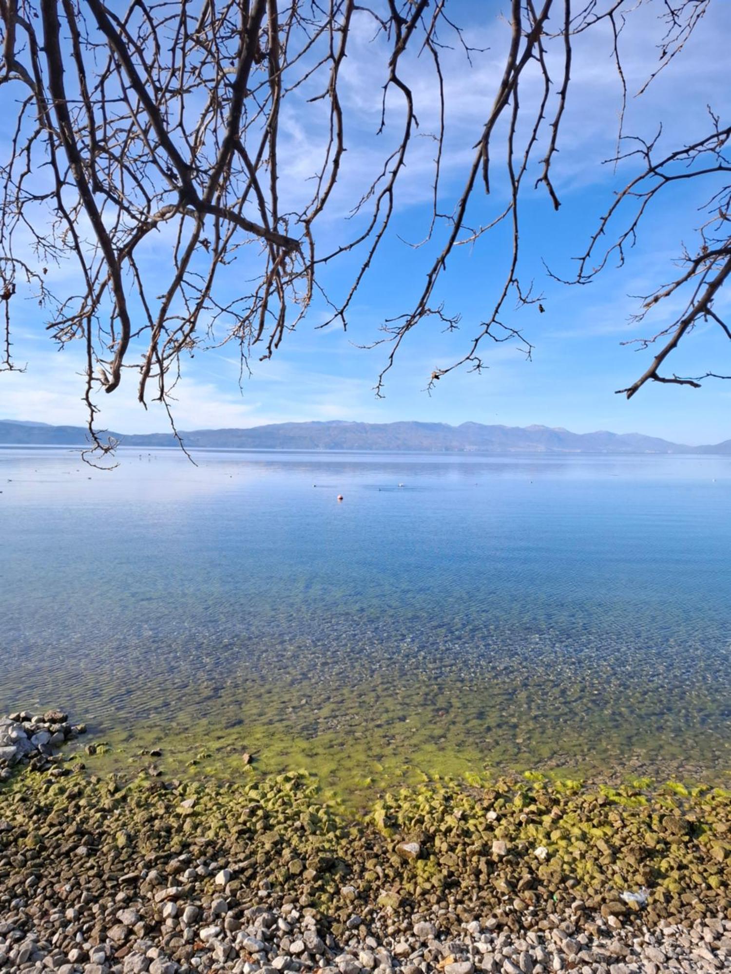 Apartments Villa Boris Ohrid Exterior foto